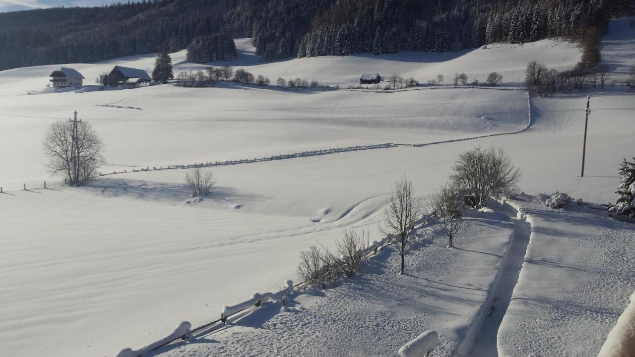 Ferienwohnungen Haus-Holzer Mauterndorf  Eksteriør billede